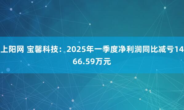 上阳网 宝馨科技：2025年一季度净利润同比减亏1466.59万元