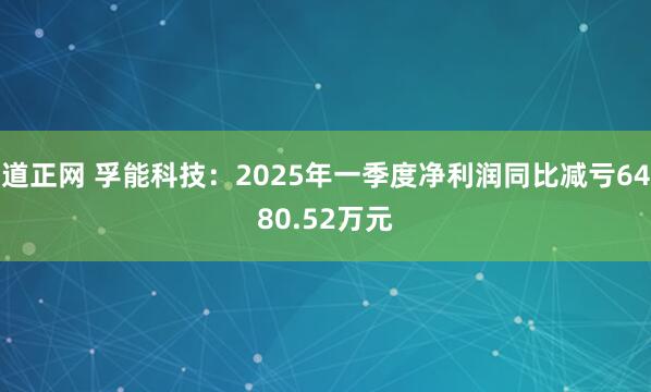 道正网 孚能科技：2025年一季度净利润同比减亏6480.52万元