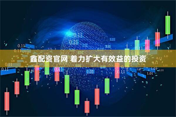 鑫配资官网 着力扩大有效益的投资