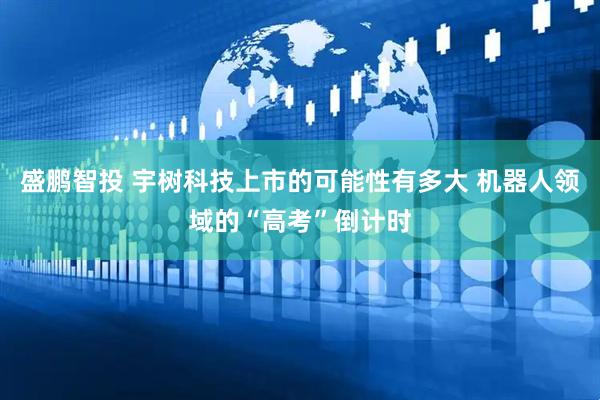 盛鹏智投 宇树科技上市的可能性有多大 机器人领域的“高考”倒计时