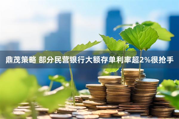 鼎茂策略 部分民营银行大额存单利率超2%很抢手