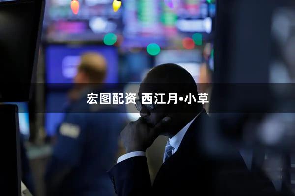 宏图配资 西江月•小草